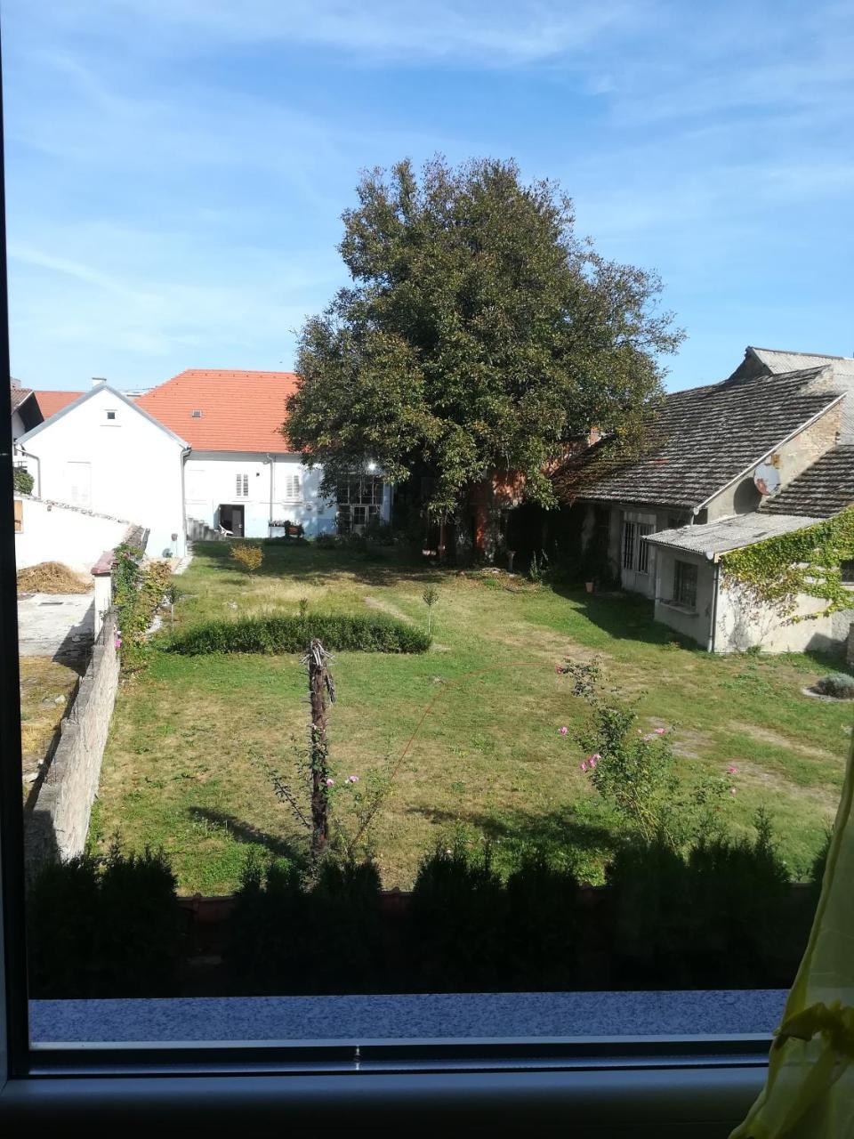 Guesthouse Sava Slavonski Brod Exterior foto